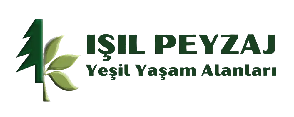 IŞIL PEYZAJ